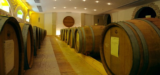 san daniel5