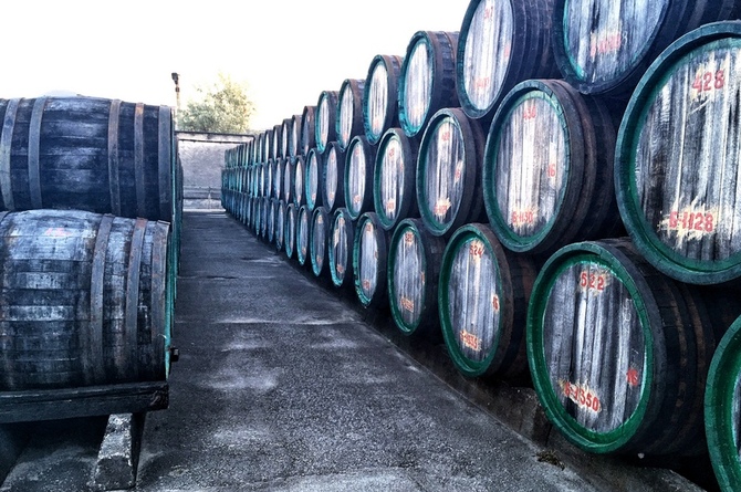 vino koktebel25b
