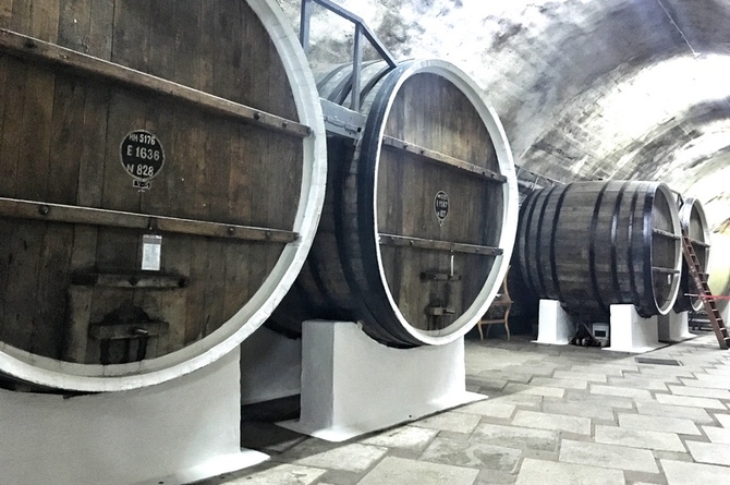 vino koktebel25c