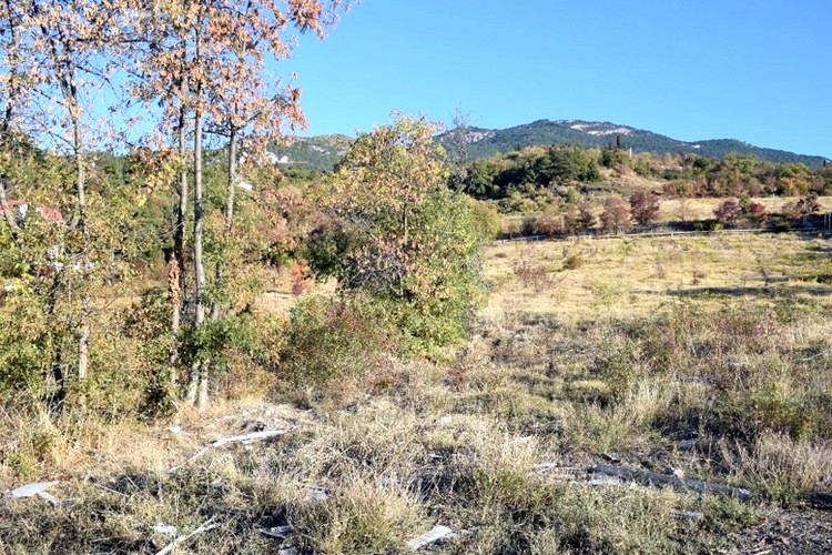 magarach3