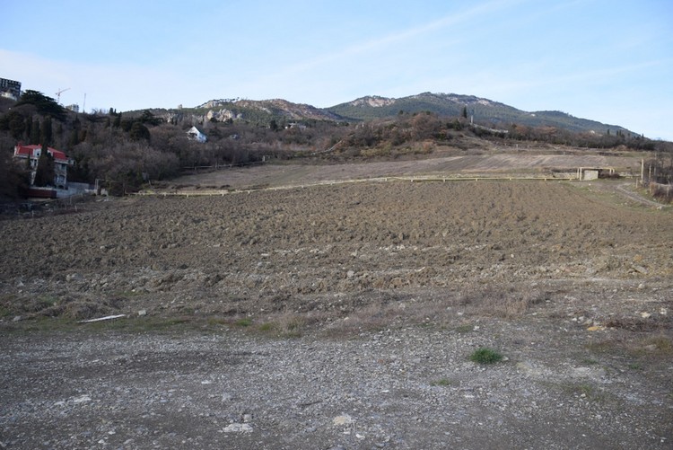 magarach8