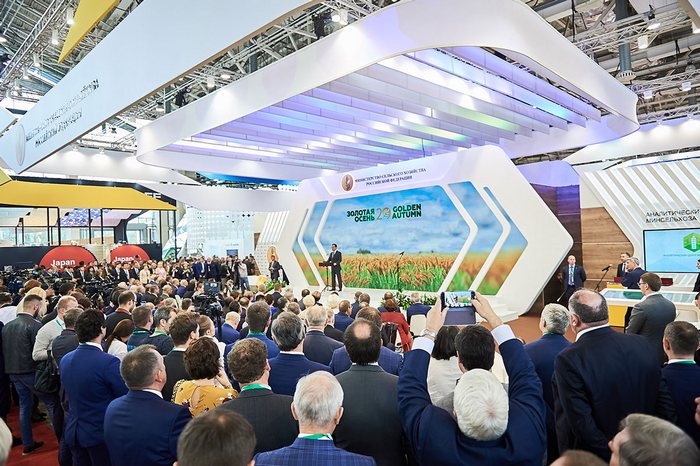 zolotaya osen 2019