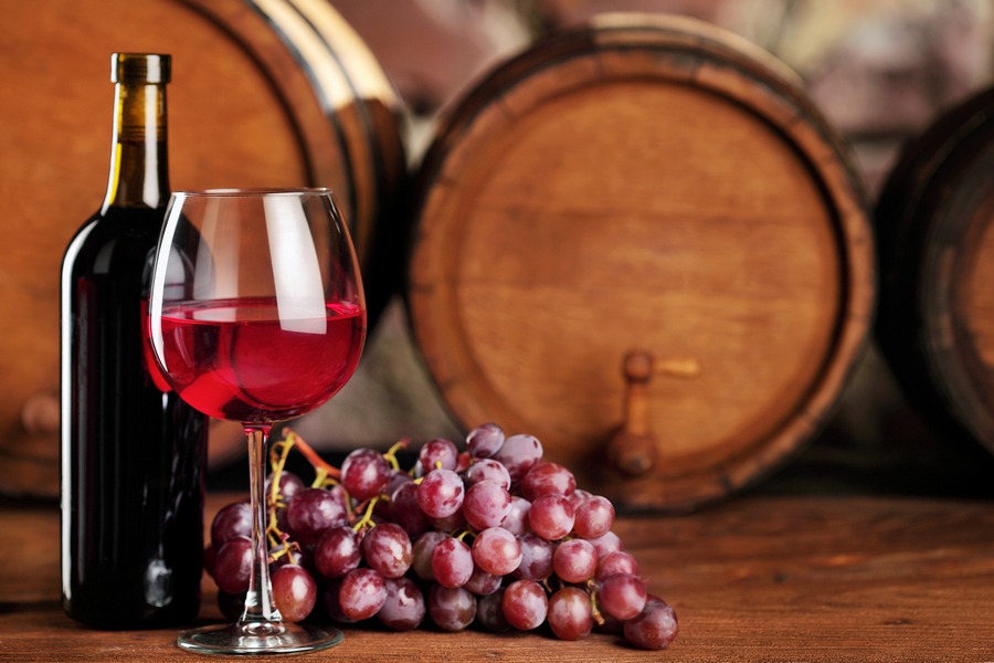 vino 04