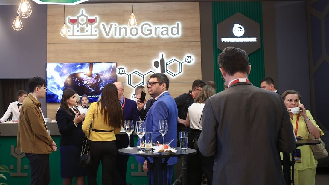 vinograd pmef1