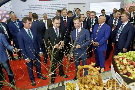 zolotaya-osen-2017