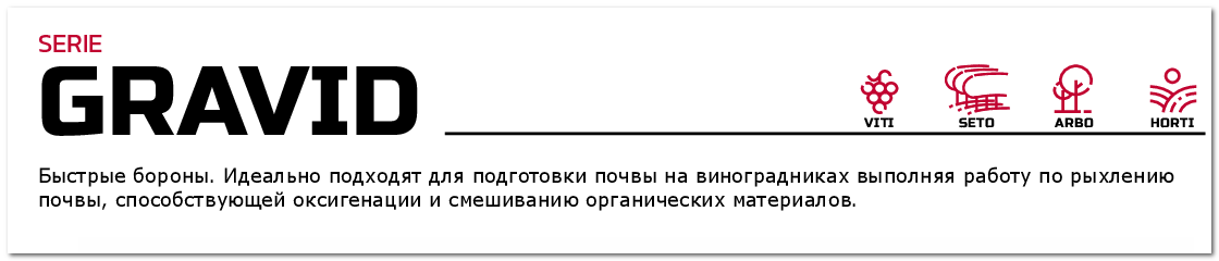 gravid1с