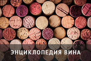banner-enciklopedia