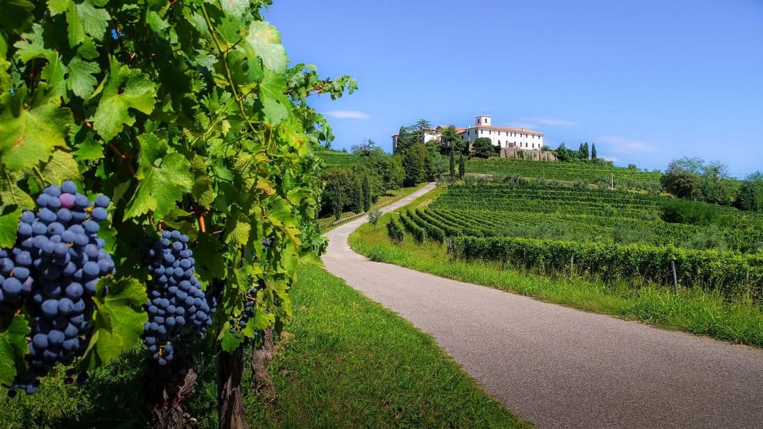 italy1