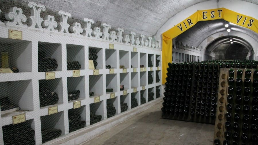 wine noviy svet5