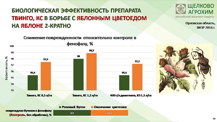 zheltova-e-v-novinki-sadovye-kultury-2