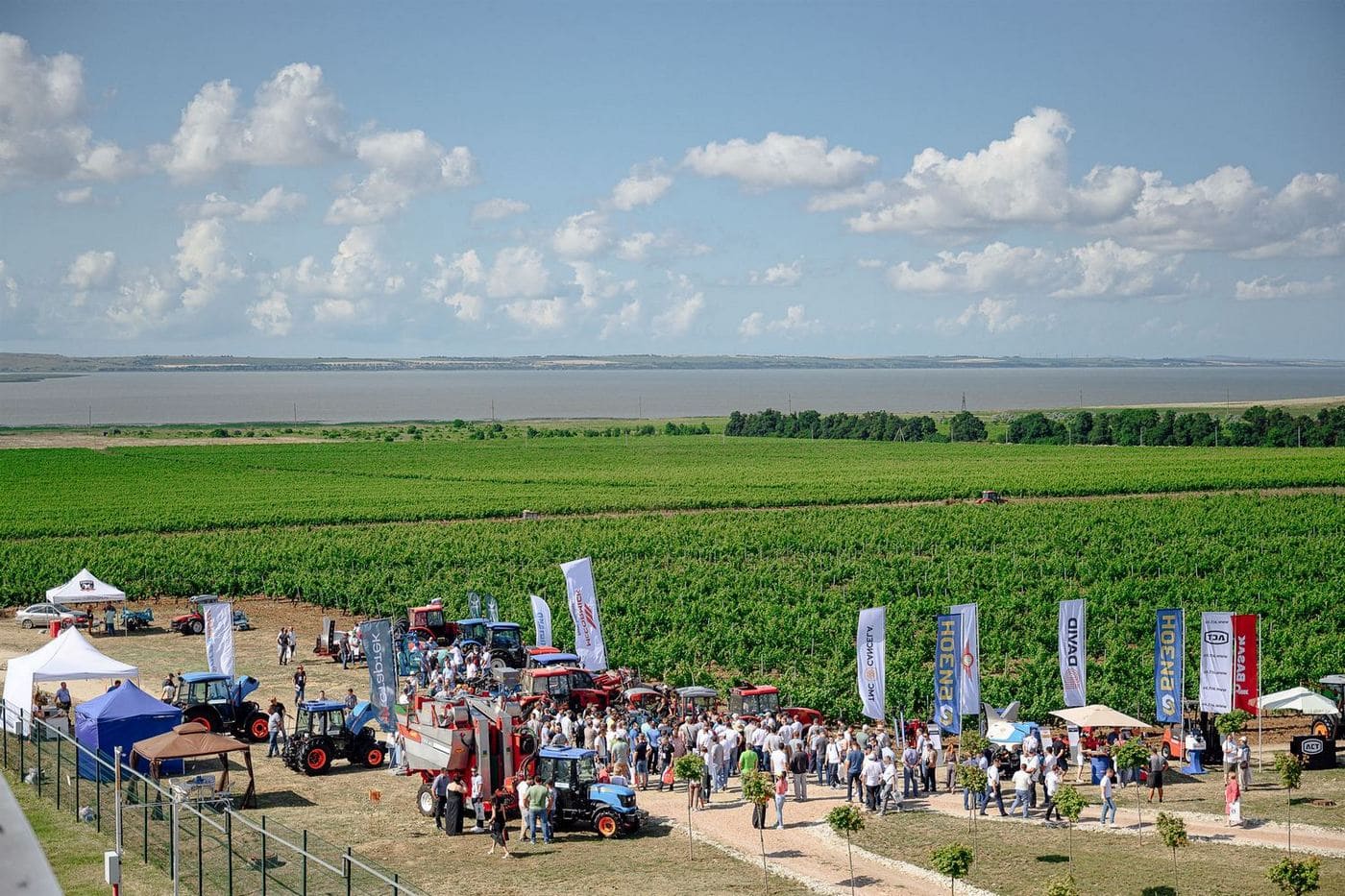 day polya2024e