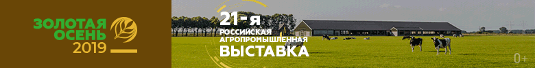 zolotaya osenBa 2019