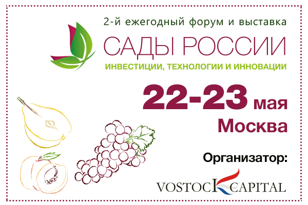 Alcokongress 5