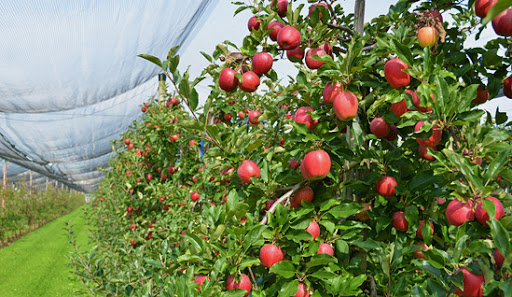 GardensForum