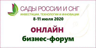 ORCH banner 400x200