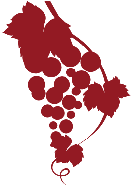 logo17