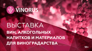 vinorus2023a1
