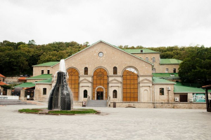 "Абрау-Дюрсо" готовится к производству горькой настойки и пива