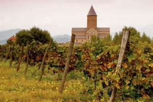 Хватит ли грузинского вина и сколько оно будет стоить?