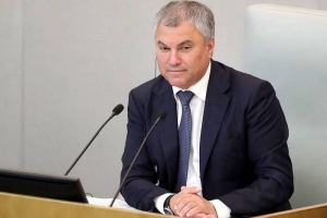 Госдума в ближайшее время примет закон о поддержке российских виноделов