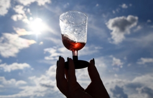 Тысячи дегустирующих: как проходит фестиваль In Vino Veritas в Коктебеле