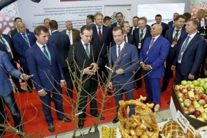 Власти Кубани предложили создать в регионе федеральный питомник саженцев плодовых культур