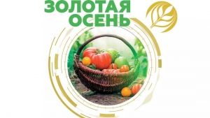 XXI Российская агропромышленная выставка &laquo;Золотая осень- 2019&raquo; пройдет в Москве с 9 по 12 октября &ndash; Андрей Рюмшин
